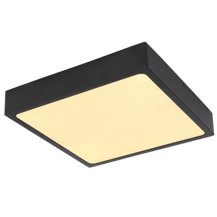 Globo - Plafonieră LED LED/22W/230V