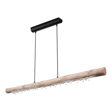 Globo 15354-20 - Lustră suspendată LED reglabilă pe cablu FELICITAS LED/25W/230V bej