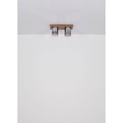 Globo - Plafonieră 2xE27/40W/230V