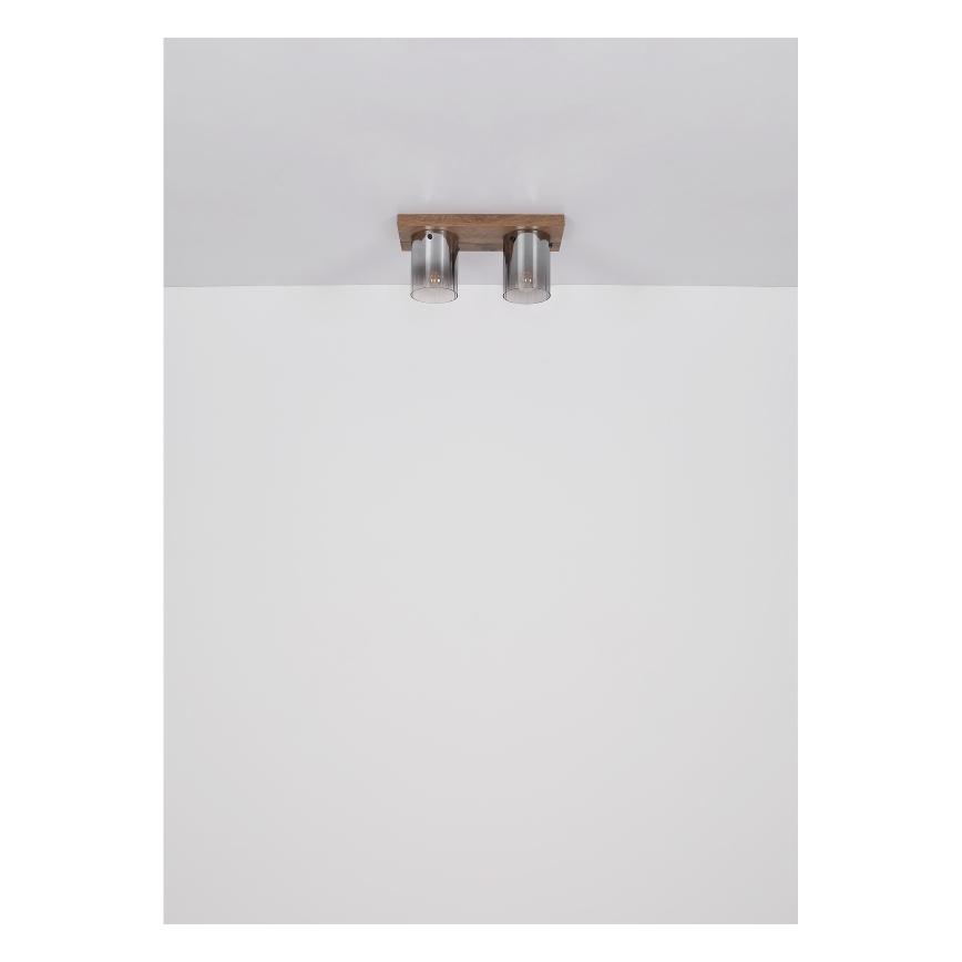 Globo - Plafonieră 2xE27/40W/230V