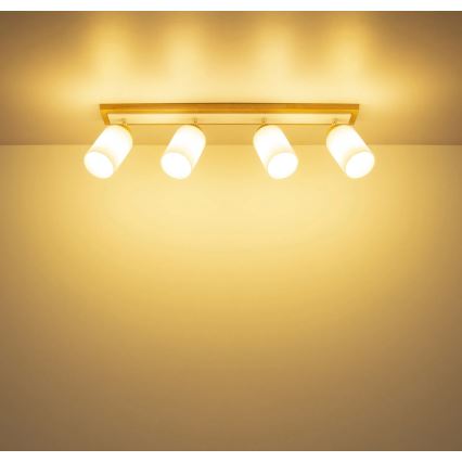 Globo - Corp de iluminat tip spot 4xE27/60W/230V stejar/alb