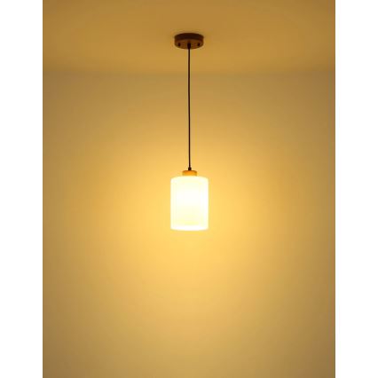Globo - Pendul pe cablu 1xE27/60W/230V stejar/alb