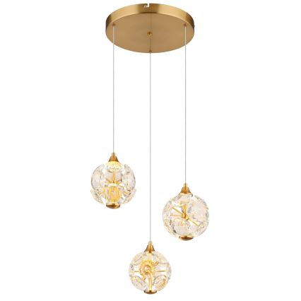 Globo - Lustră LED pe cablu LED/24W/230V 3000K aurie