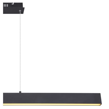 Globo - Lustră LED dimmabilă pe cablu LED/40W/230V 3000K