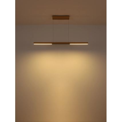 Globo - Lustru LED suspendat pe cablu LED/24W/230V 3000K