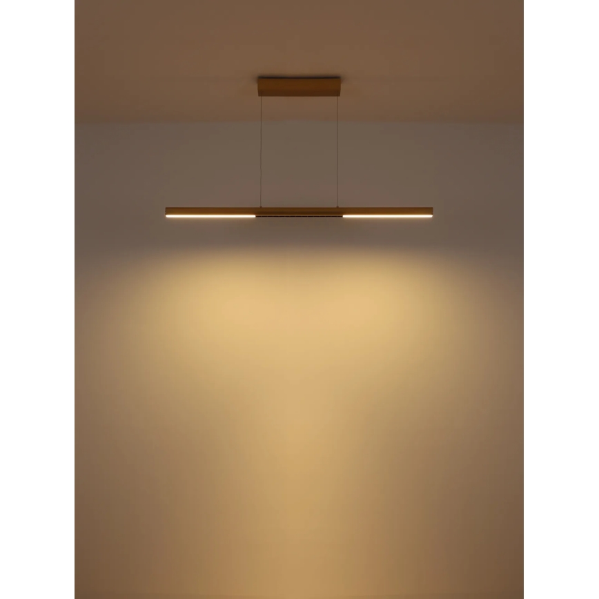 Globo - Lustru LED suspendat pe cablu LED/24W/230V 3000K