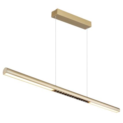 Globo - Lustru LED suspendat pe cablu LED/24W/230V 3000K