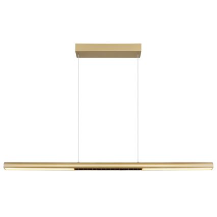 Globo - Lustru LED suspendat pe cablu LED/24W/230V 3000K