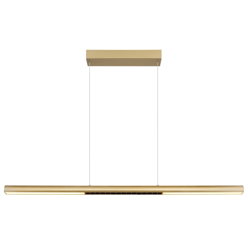 Globo - Lustru LED suspendat pe cablu LED/24W/230V 3000K