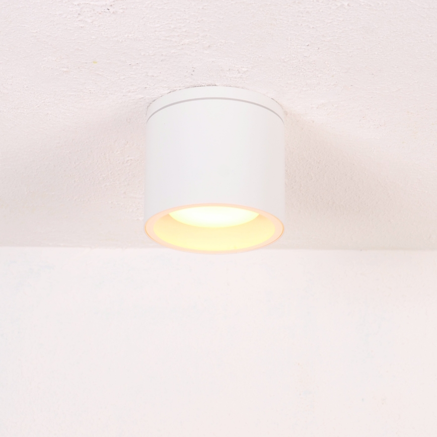 Globo 32063W - Aplică perete exterior ALCALA 1xGX53/11W/230V IP44