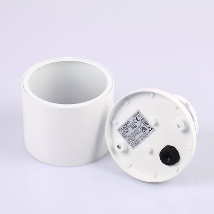 Globo 32063W - Aplică perete exterior ALCALA 1xGX53/11W/230V IP44