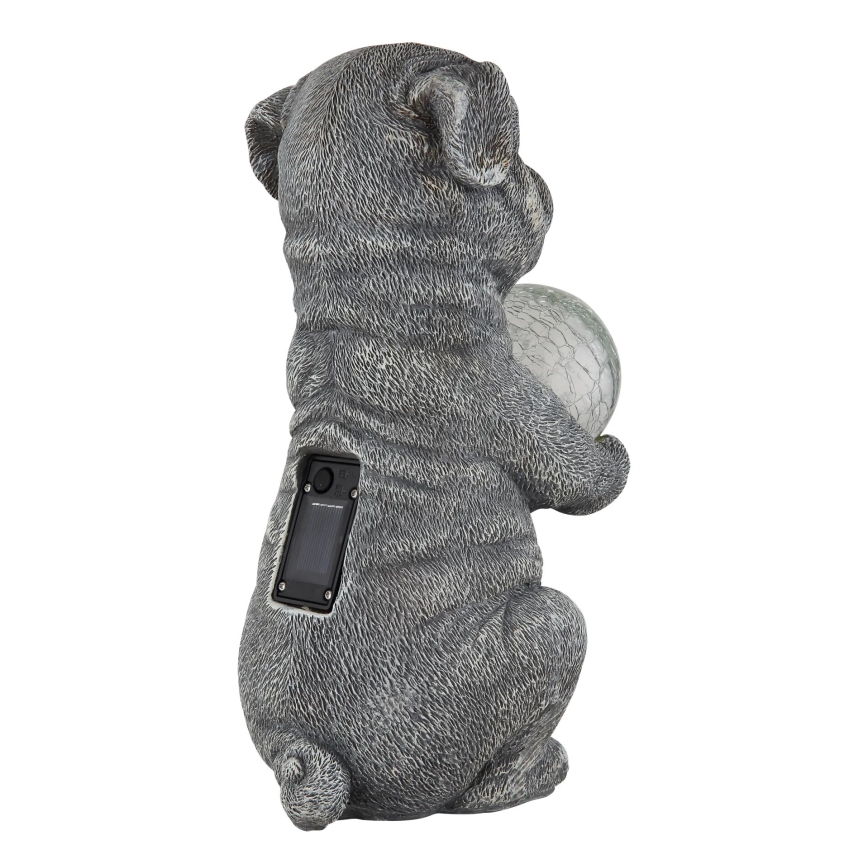 Globo - Decorațiune solară LED LED/0,02W/3V IP44 300 mAh câine