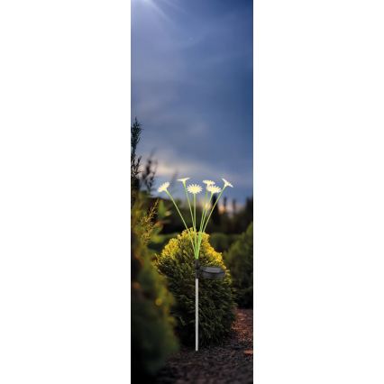 Globo - Lampă solară LED în formă de floare, 6xLED/3V, IP44, 600 mAh