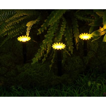 Globo - Ghirlandă solară LED 5xLED/3V IP44 300 mAh 2,2 m flori