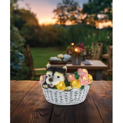 Globo - Lampă solară cu LED LED/1,2V IP44 300 mAh pes