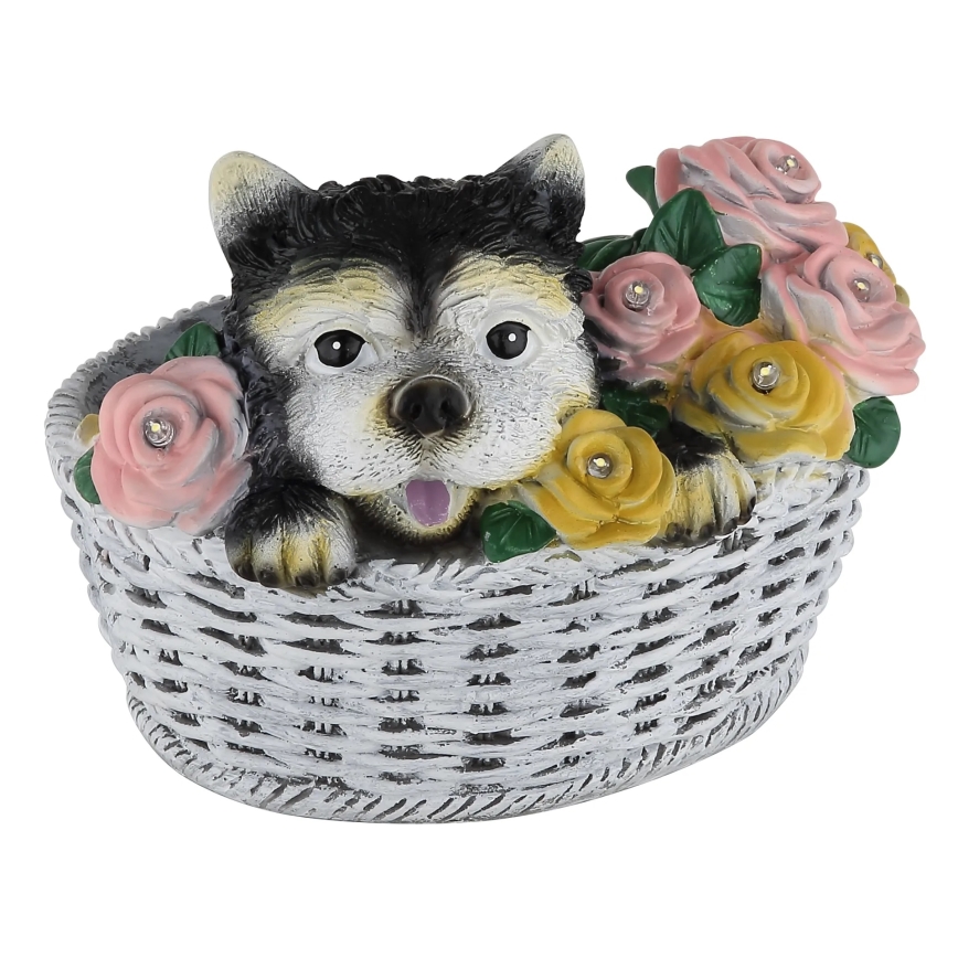 Globo - Lampă solară cu LED LED/1,2V IP44 300 mAh pes