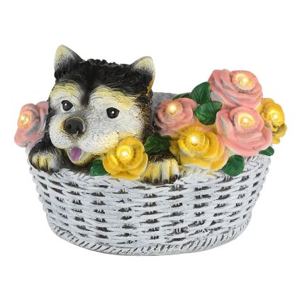 Globo - Lampă solară cu LED LED/1,2V IP44 300 mAh pes