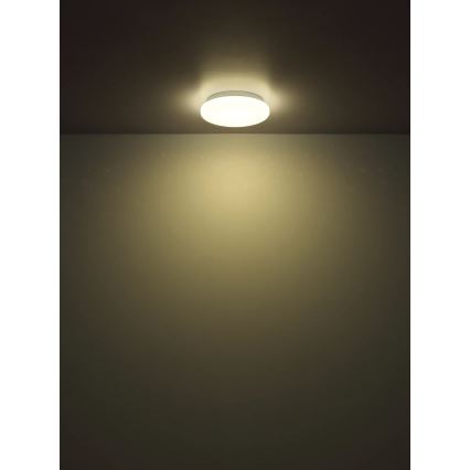 Globo - Plafonieră LED/8W/230V 4000K Ø 55 cm
