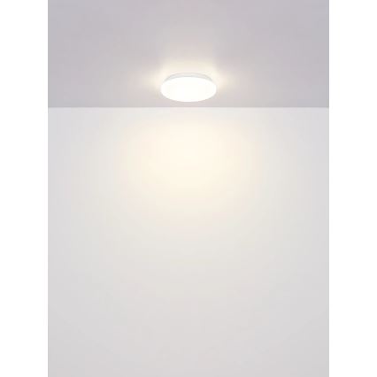 Globo - Plafonieră LED/8W/230V 4000K Ø 55 cm