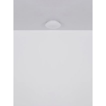 Globo - Plafonieră LED/8W/230V 4000K Ø 55 cm