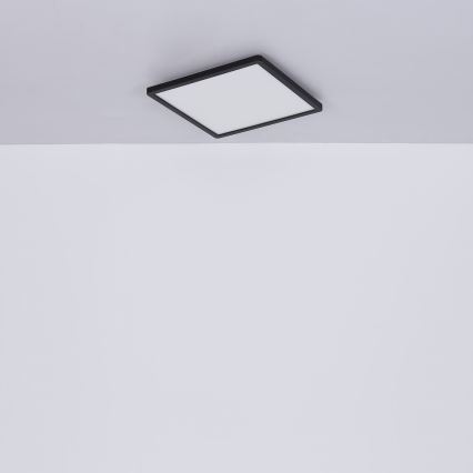 Globo - Plafonier LED reglabil pentru baie LED/24W/230V 42x42 cm IP44 negru