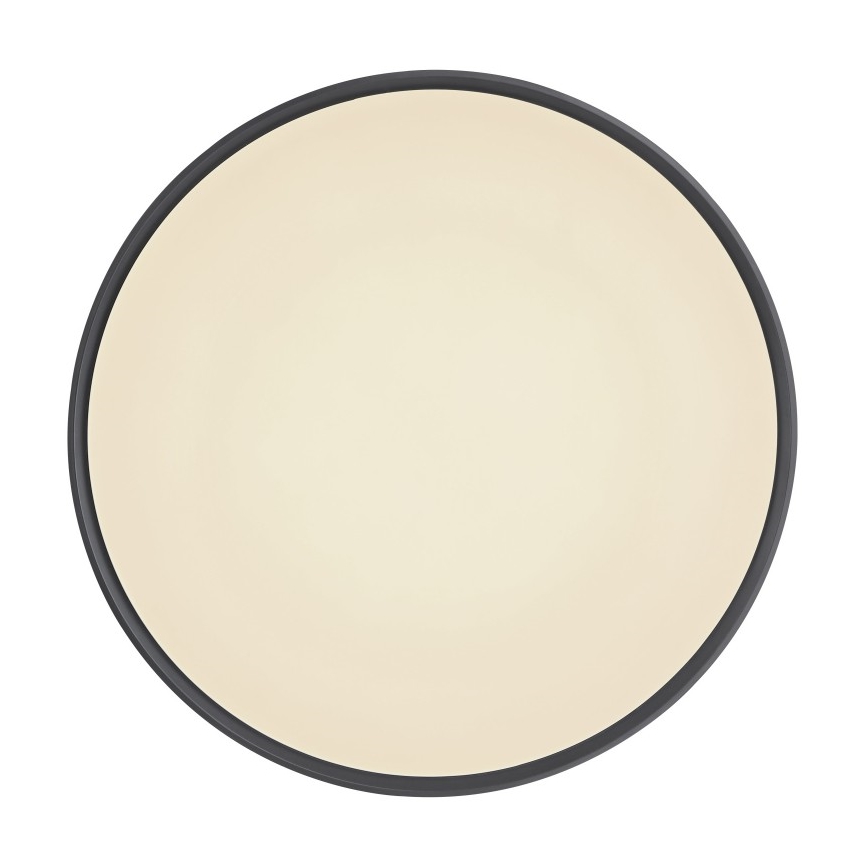 Globo - Plafonier LED reglabil intensitate LED/24W/230V cu telecomandă