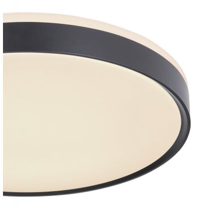 Globo - Plafonier LED reglabil intensitate LED/24W/230V cu telecomandă