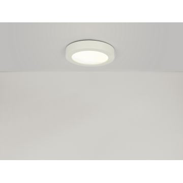 Globo - Plafonieră baie LED 1xLED/12W/230V