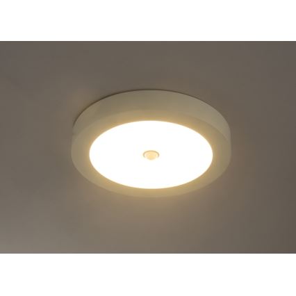 Globo - Plafonieră LED de exterior cu senzor LED/18W/230V IP44