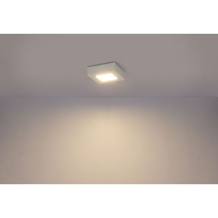 Globo - Plafonieră LED SVENJA LED/9W/230V 3000/4000/6000K