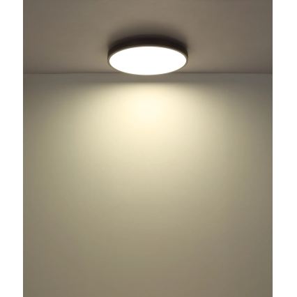 Globo - plafonieră LED dimerizabilă LED/40W/230V 2700-6500K Ø 60 cm + telecomandă