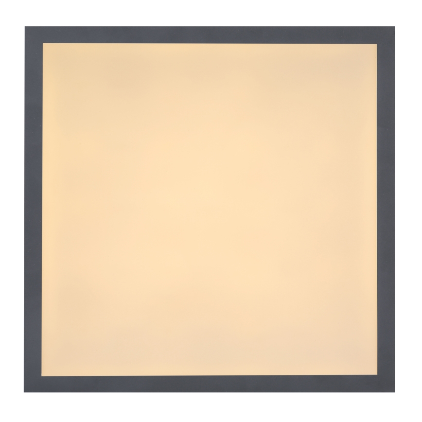 Globo - Plafonieră LED LED/12W/230V