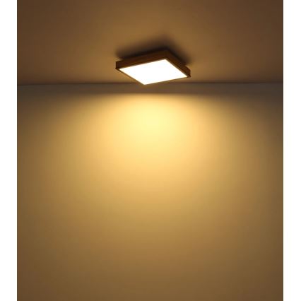 Globo - Plafonieră LED dimabilă LED/24W/230V 3000-6500K 45x45 cm