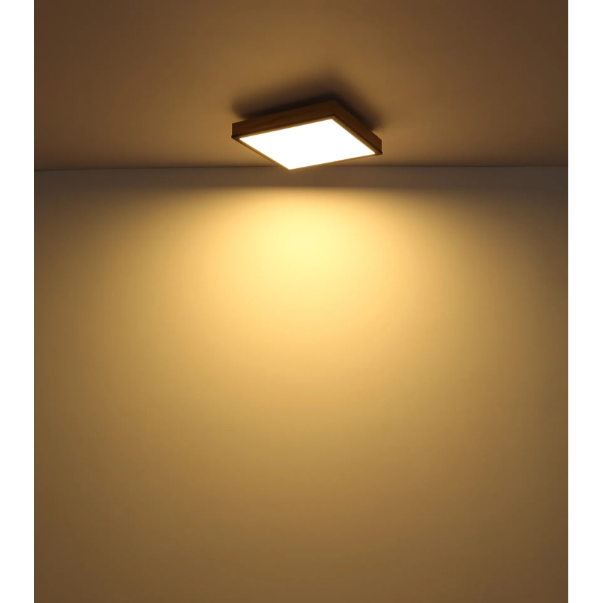 Globo - Plafonieră LED dimabilă LED/24W/230V 3000-6500K 45x45 cm