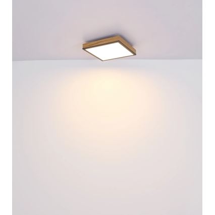 Globo - Plafonieră LED dimabilă LED/24W/230V 3000-6500K 45x45 cm