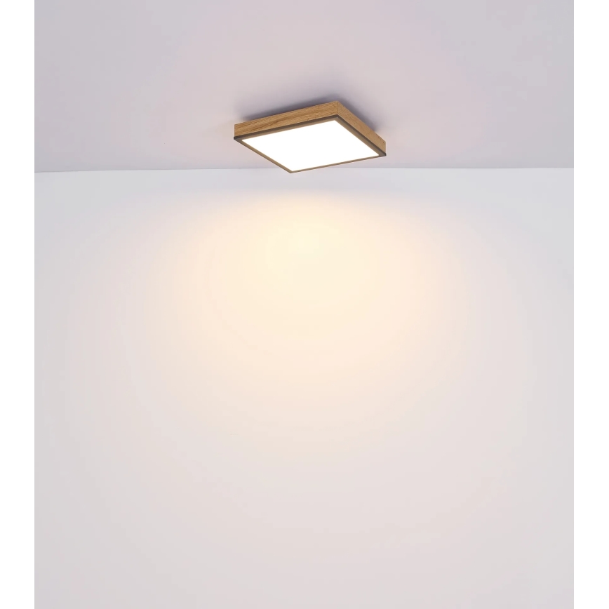 Globo - Plafonieră LED dimabilă LED/24W/230V 3000-6500K 45x45 cm