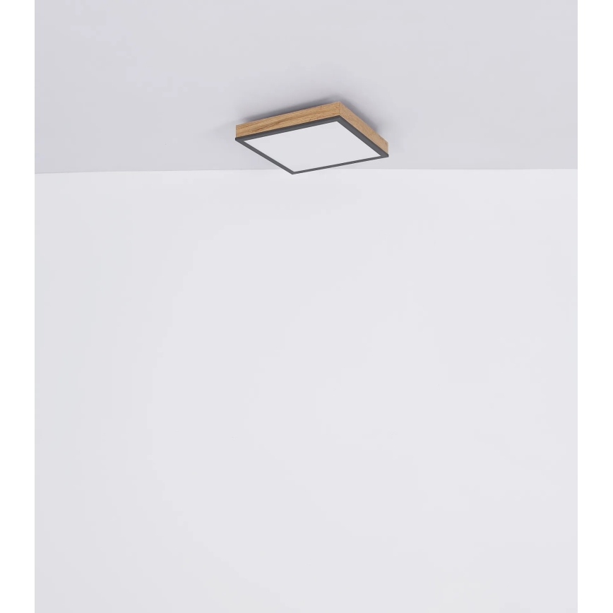 Globo - Plafonieră LED dimabilă LED/24W/230V 3000-6500K 45x45 cm