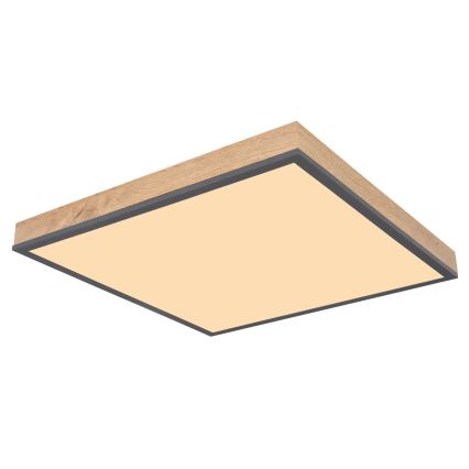 Globo - Plafonieră LED dimabilă LED/24W/230V 3000-6500K 45x45 cm