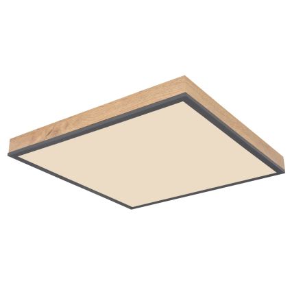 Globo - Plafonieră LED dimabilă LED/24W/230V 3000-6500K 45x45 cm