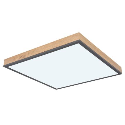 Globo - Plafonieră LED dimabilă LED/24W/230V 3000-6500K 45x45 cm