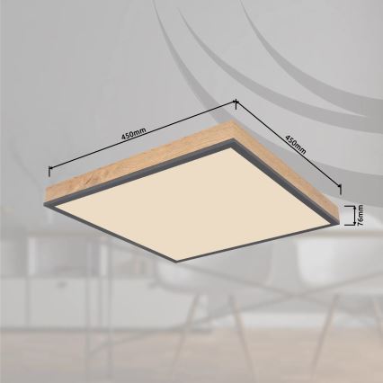 Globo - Plafonieră LED dimabilă LED/24W/230V 3000-6500K 45x45 cm