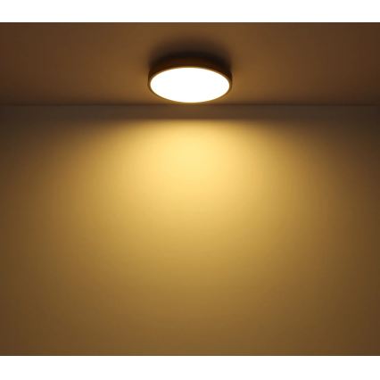 Globo - Plafonieră LED dimerizabilă LED/24W/230V 2700-6500K diam. 45 cm