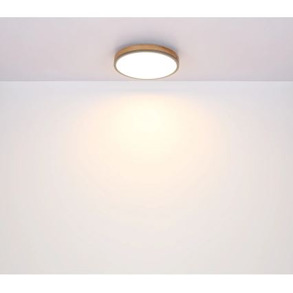 Globo - Plafonieră LED dimerizabilă LED/24W/230V 2700-6500K diam. 45 cm