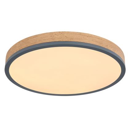 Globo - Plafonieră LED dimerizabilă LED/24W/230V 2700-6500K diam. 45 cm