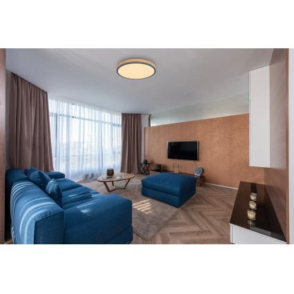 Globo - Corp de iluminat de tavan LED cu funcție de dimare/24W/230V 3000-6500K diam. 45 cm