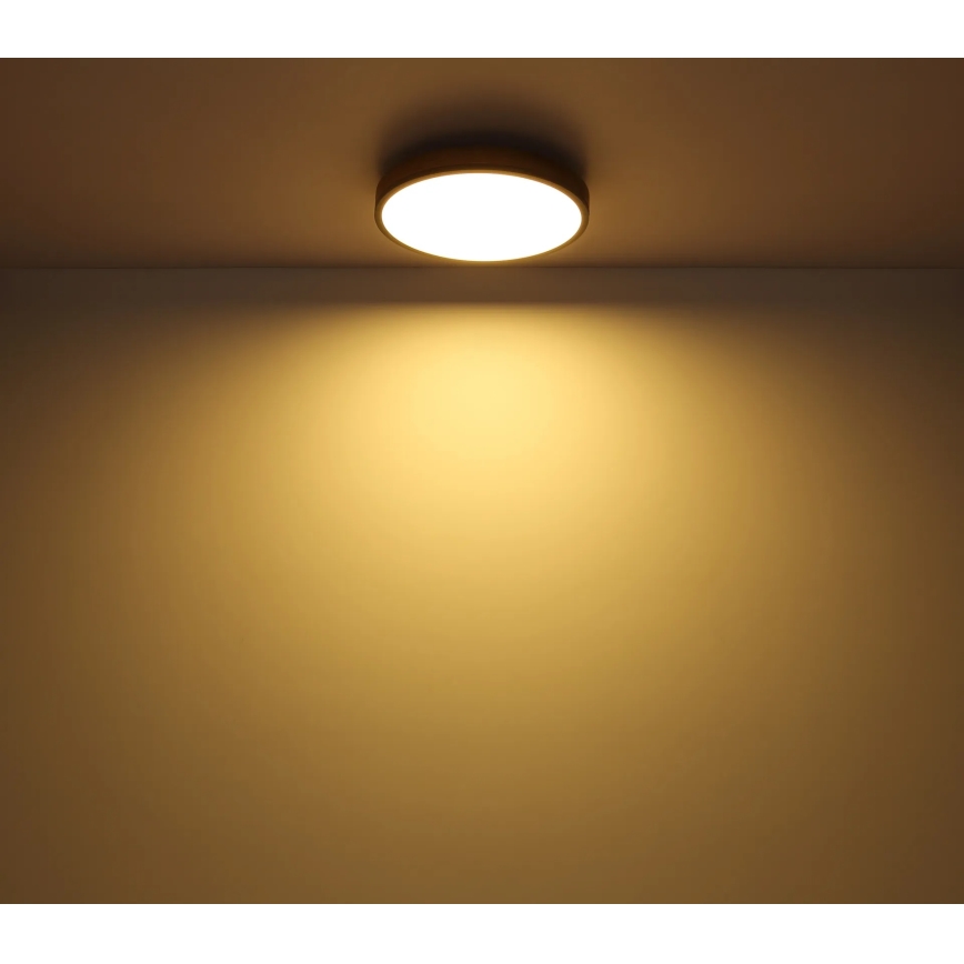 Globo - Corp de iluminat de tavan LED cu funcție de dimare/24W/230V 3000-6500K diam. 45 cm