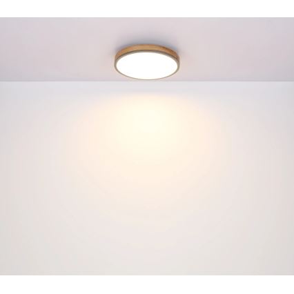 Globo - Corp de iluminat de tavan LED cu funcție de dimare/24W/230V 3000-6500K diam. 45 cm