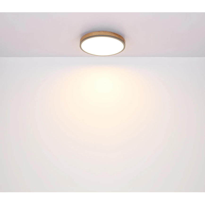Globo - Corp de iluminat de tavan LED cu funcție de dimare/24W/230V 3000-6500K diam. 45 cm