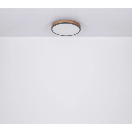 Globo - Corp de iluminat de tavan LED cu funcție de dimare/24W/230V 3000-6500K diam. 45 cm