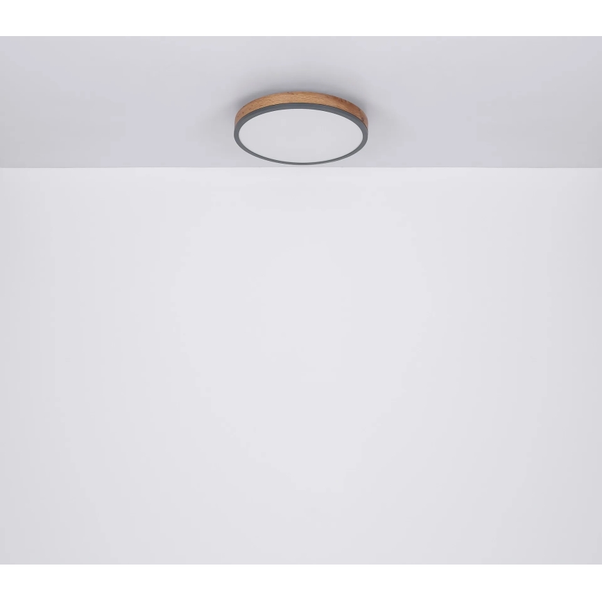 Globo - Corp de iluminat de tavan LED cu funcție de dimare/24W/230V 3000-6500K diam. 45 cm